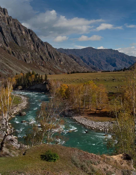 Rosja Południowa Syberia Zachodnia Późna Jesień Górach Altai Rzeka Chui — Zdjęcie stockowe