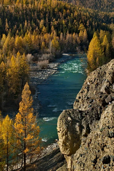 Rusia Sur Siberia Occidental Finales Otoño Las Montañas Altai Río —  Fotos de Stock