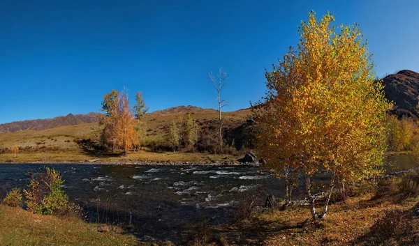 Russland Bergaltai Ursul Fluss Der Nähe Des Dorfes Ongudai — Stockfoto