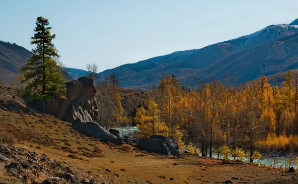 Russland Bergaltai Chuya Fluss Der Nähe Des Dorfes Kurai — Stockfoto