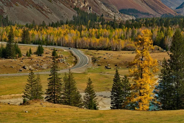 Ryssland Söder Västra Sibirien Mountain Altai Chuya Väg Vid Byn — Stockfoto