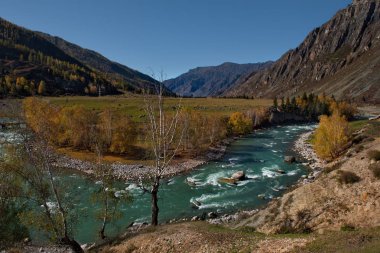 - Rusya. Altai Dağı. Sonbaharın sonlarında Chuya nehrinde Chuya yolu boyunca.