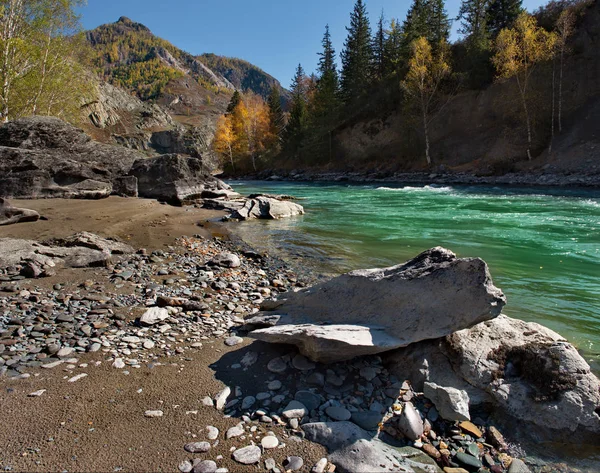 Rusia Montaña Altai Finales Otoño Río Chuya Largo Del Tracto —  Fotos de Stock