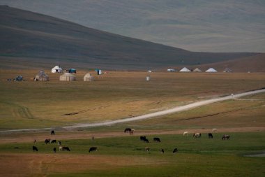 Orta Asya. Kırgızistan. Son-Kul Gölü, Naryn bölgesinin yüksek ovalarında Tien Shan dağları arasında yer almaktadır. Deniz seviyesinden 3016 metre yükseklikte yer almaktadır..