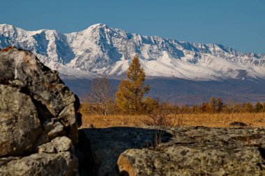 - Rusya. Altai Dağı. Chui yolu boyunca Kuzey Chui dağlarının eteklerinde çöl bozkırları..