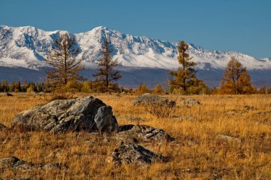 - Rusya. Altai Dağı. Chui yolu boyunca Kuzey Chui dağlarının eteklerinde çöl bozkırları..