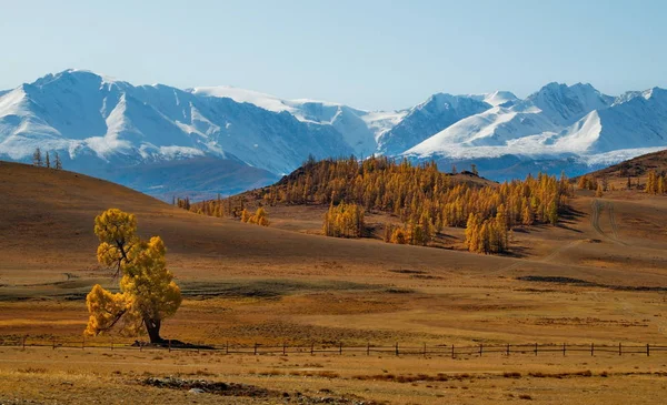 Rusia Mountain Altai Estepas Del Desierto Los Pies Cordillera Del —  Fotos de Stock