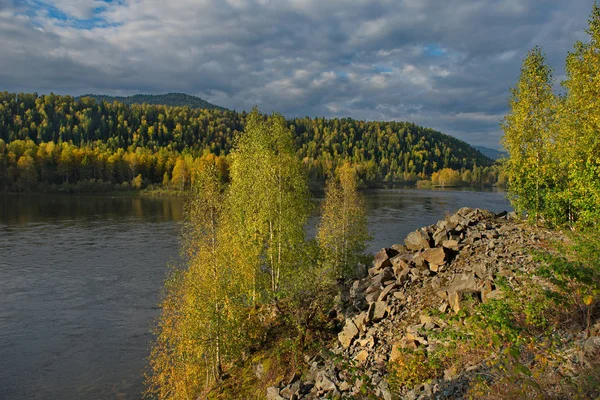 Rusia Mountain Altai Río Biya Cerca Fuente Del Lago Teletskoye — Foto de Stock