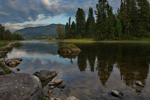 Rusia Gunung Altai Sungai Biya Dekat Sumber Danau Teletskoye Dekat — Stok Foto