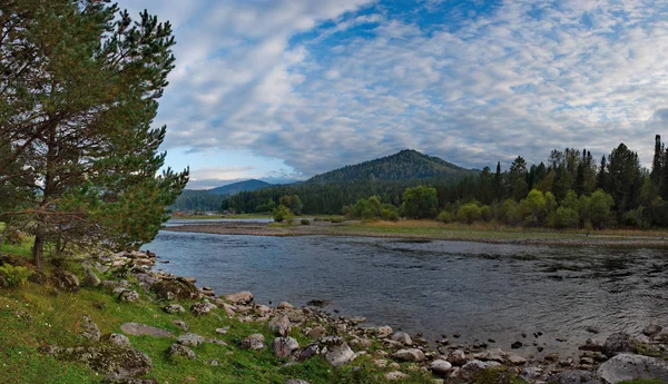 Rusia Mountain Altai Río Biya Cerca Fuente Del Lago Teletskoye —  Fotos de Stock