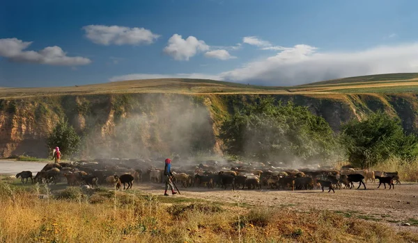 Kulyab Tacikistan Ağustos 2019 Birkaç Genç Çiftçi Tozlu Pamir Otoyolu — Stok fotoğraf