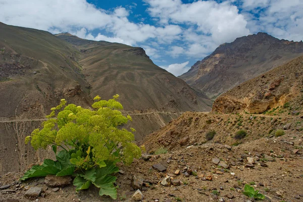 Środkowa Azja Tadżykistan Trakt Pamir Pobliżu Granicy Rzeki Panj — Zdjęcie stockowe