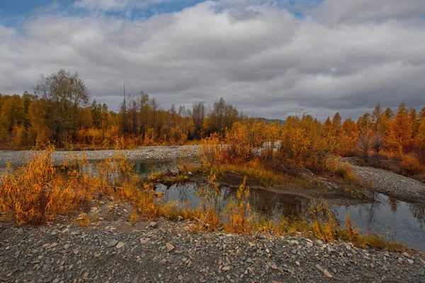 Rusya Uzak Doğu Sonbahar Magadan Soğuk Irmakları Kullanılır — Stok fotoğraf