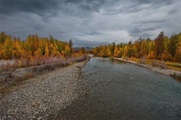 Russie Extrême Orient Les Couleurs Automne Sont Les Rivières Eau — Photo