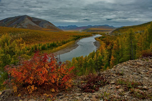 Russland Fernost Die Farben Des Herbstes Sind Kaltwasserflüsse Aus Magadan — Stockfoto