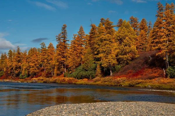 Rusko Dálný Východ Barvy Podzimu Jsou Studenou Vodou Řeky Magadan — Stock fotografie