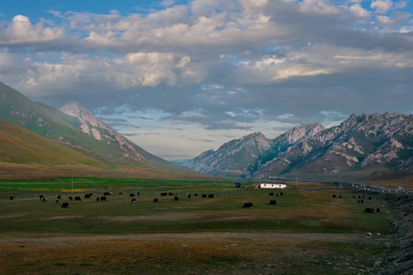 Kirgistan Wschodni Odcinek Autostrady Pamir Pobliżu Granicy Tadżykistanem — Zdjęcie stockowe