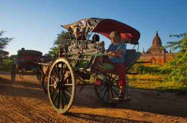 Bagan. Myanmar. 25 Kasım 2016. Arka planda tozlu bir yolda turistlerle dolu bir at arabası Bagan 'ın muhteşem Budist tapınaklarına doğru aceleyle günbatımını görmeye gidiyor..