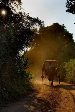 Bagan. Myanmar. 25 Kasım 2016. Arka planda tozlu bir yolda turistlerle dolu bir at arabası Bagan 'ın muhteşem Budist tapınaklarına doğru aceleyle günbatımını görmeye gidiyor..