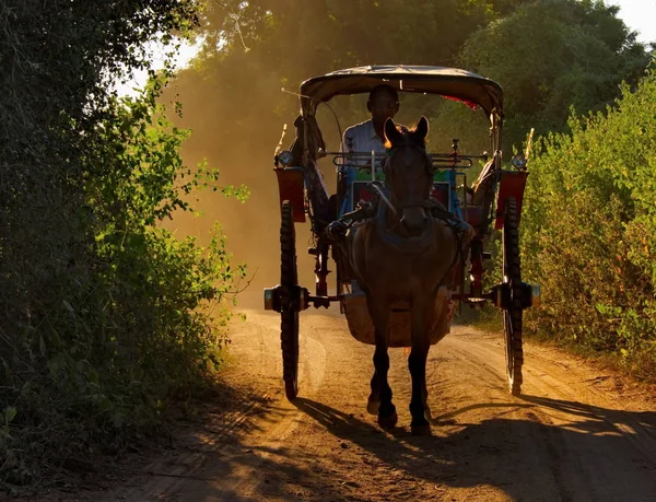 Bagan Myanmar Kasım 2016 Arka Planda Tozlu Bir Yolda Turistlerle — Stok fotoğraf