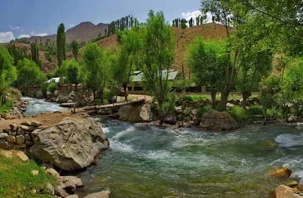 Tajikistan Anak Sungai Kanan Dari Perbatasan Sungai Panj Sepanjang Jalur — Stok Foto