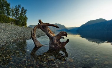 - Rusya. Altai Dağı. Teletskoye Gölü 'nün güney kıyısında Chulyshman nehrinin ağzında.