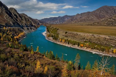 - Rusya. Altai Dağı. Maly Yaloman köyü yakınlarındaki Chui yolu boyunca Katun nehri..