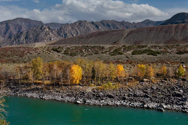 Russland Bergaltai Katun Fluss Entlang Des Chui Trakts Der Nähe — Stockfoto