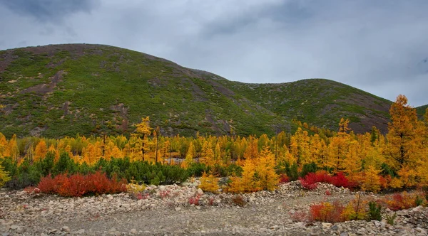 Ryssland Magadan Den Fantastiska Skönheten Fjärran Östern Hösten — Stockfoto