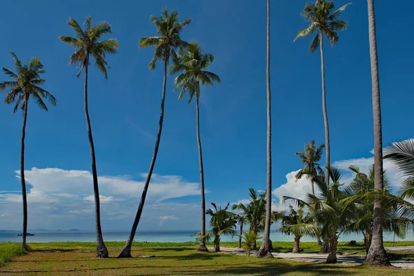 Malásia Coqueiros Numerosas Ilhas Recifais Perto Ilha Bornéu Perto Cidade — Fotografia de Stock