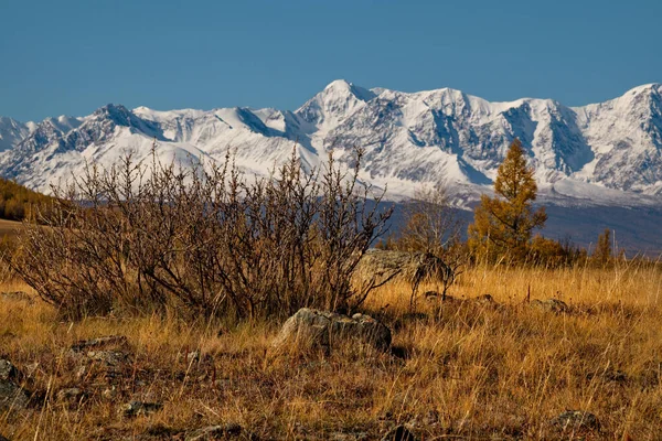 Ρωσία Στο Βουνό Αλτάι Χρυσό Φθινόπωρο Στην Οροσειρά North Chuya — Φωτογραφία Αρχείου