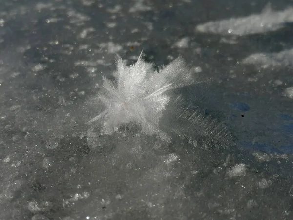 Rusland Ten Zuiden Van West Siberië Delicate Vorst Ijzige Lente — Stockfoto