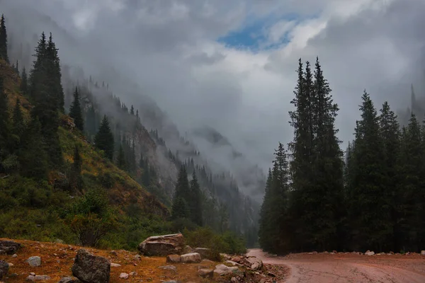 Kırgızistan. Grigoriev Vadisi, Issyk-Kul Gölü 'nün kuzey kıyısında. Tien Shan dağlarında yağmurlu bir gün