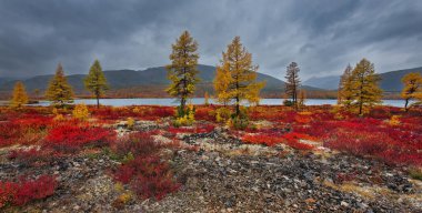 - Rusya. Uzak Doğu, Magadan bölgesi. Issız göller, ıssız kayalık kıyılar, yosun ve seyrek bitkilerle kaplı..