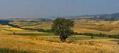 Orta Asya. Kırgızistan. Kara-Alma kenti yakınlarındaki Pamir otoyolunun kuzeydoğu bölümü. Tien Shan 'ın yüksek rakımlı verimli toprakları