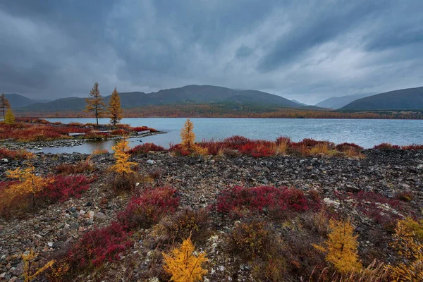 Rusia Timur Jauh Daerah Magadan Danau Tak Berpenghuni Dengan Pantai — Stok Foto