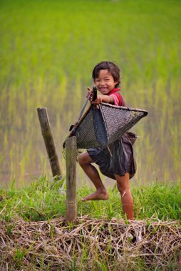 Gauhati. Doğu Hindistan. 11 Şubat 2016. Köylü kızlar pirinç tarlasında başarılı bir balık avından sonra rahatlarlar. Küçük balıklar için hasır ağlarla balık tutmak Hint köylerinden gelen çocuklar için geleneksel bir etkinliktir.