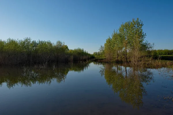 Rusia Kuznetsky Alatau Inundada Agua Manantial Orilla Del Río Tom —  Fotos de Stock