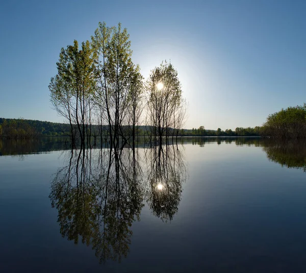 Russland Kusnezki Alatau Mit Quellwasser Überflutet Das Ufer Des Flusses — Stockfoto