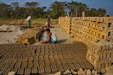 Assam. Hindistan. 8 Şubat 2016. Küçük bir tuğla fabrikası. Genç bir adam kilden tuğla yapmak için kalıp kullanır ve güneşte kurutmak için onları serer..