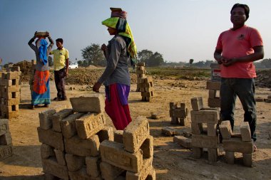 Assam. Hindistan. 8 Şubat 2016. Küçük bir tuğla fabrikası. Genç kızlar daha fazla ısınmak için kafalarında 8 adet kurumuş kil tuğla taşıyorlar. Her tuğlanın ağırlığı 3.5 kg..
