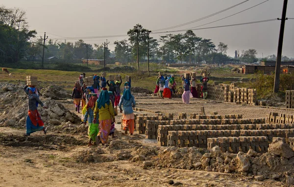 Dupek Indie Lutego 2016 Mała Fabryka Cegieł Młode Dziewczęta Niosą — Zdjęcie stockowe