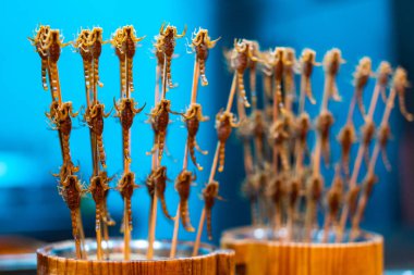 Pekin / Çin - 12 / 10 / 2018: Soğuk gecede ışıklarla parlayan boş Chang An Kulübü