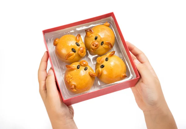 선물 상자에 돼지 모양에 손으로 쥐기 문 케이크 — 스톡 사진