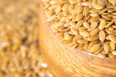 Altın keten tohumu ya da keten tohumu