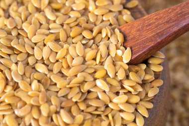 Altın keten tohumu ya da keten tohumu