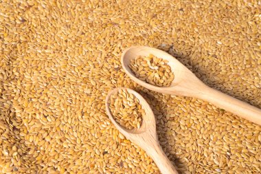 Altın keten tohumu ya da keten tohumu