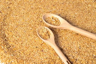 Altın keten tohumu ya da keten tohumu