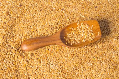 Altın keten tohumu ya da keten tohumu