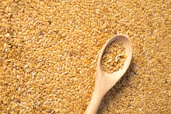 Golden flax seed or linseed — Stock Photo, Image